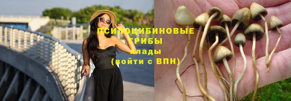 СК Белоозёрский