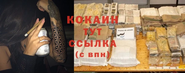 стафф Богородицк